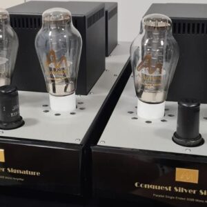 Audio Note Conquest Silver Signature 300B
